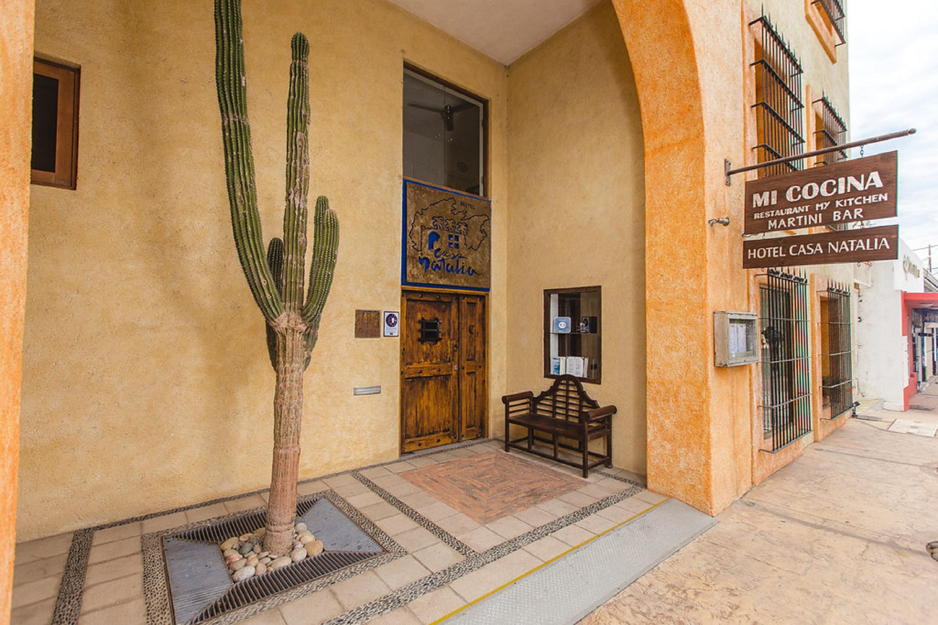 Casa Natalia Boutique Hotel Adults Only San José del Cabo Eksteriør bilde
