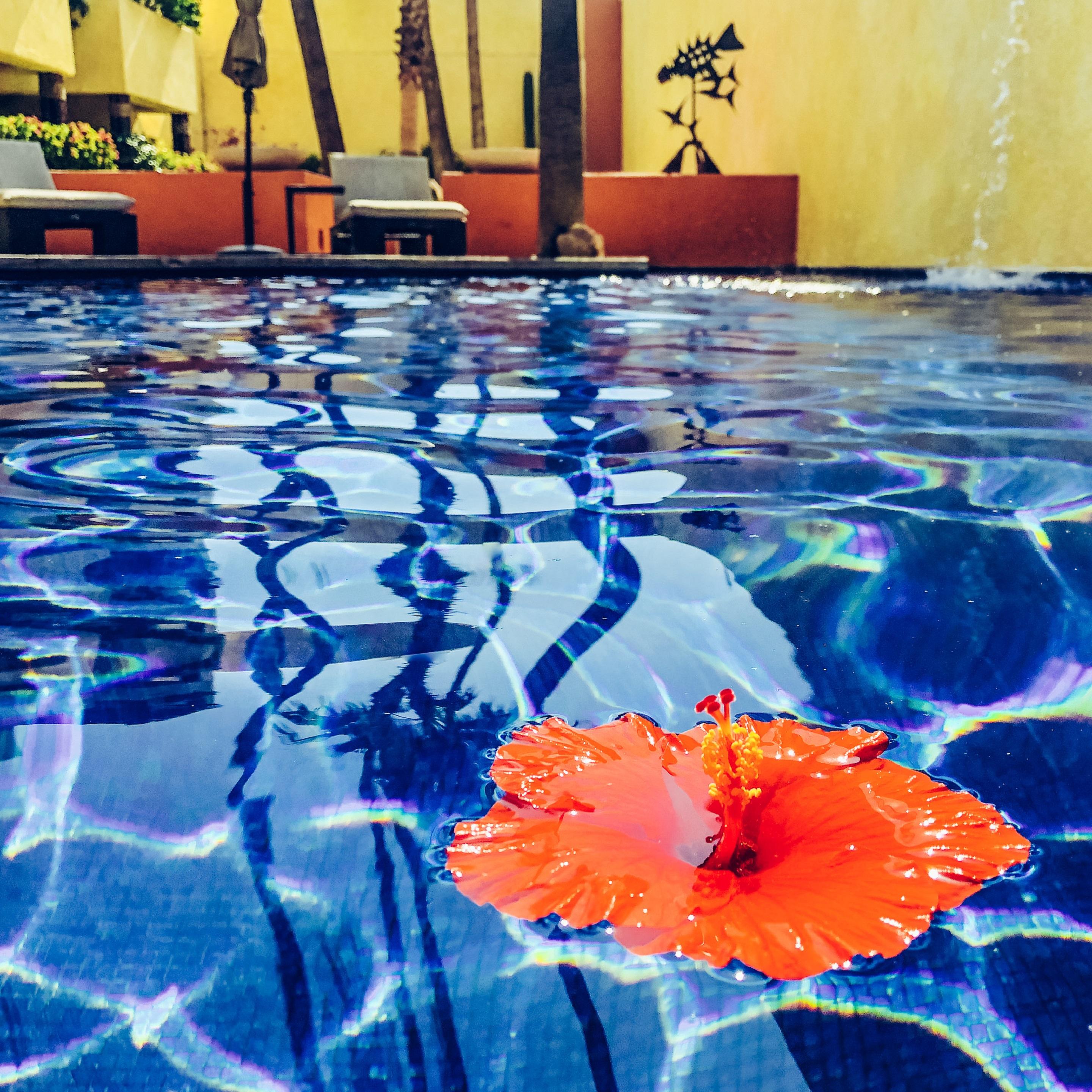 Casa Natalia Boutique Hotel Adults Only San José del Cabo Eksteriør bilde